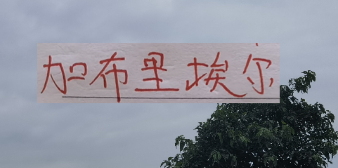 开云体育-新赛季！海港 申花 北京国安的边锋都是又黑又快的外援